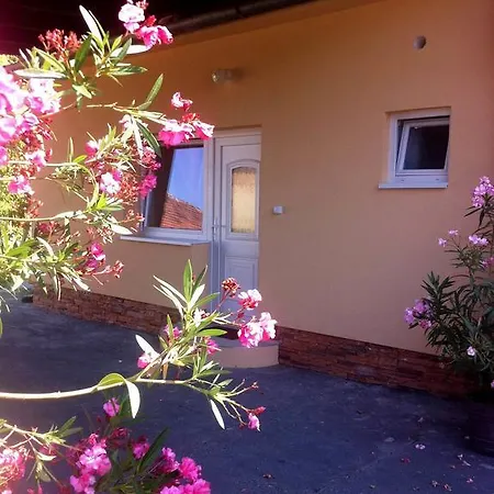 Op-art Etterem Es Panzio Guest house Monor